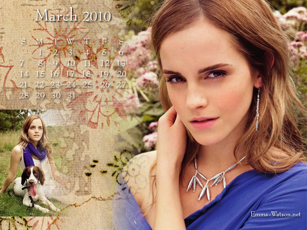 Daisy-6.jpg